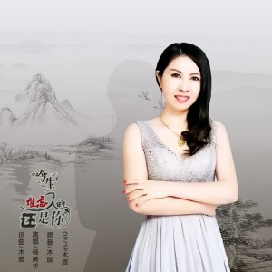 Album 今生难忘的人还是你（女版） from 杨美华