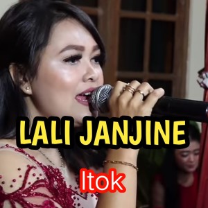 iTOK的专辑Lali Janjine