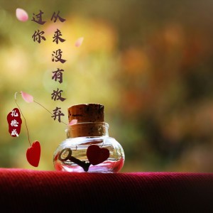 Listen to 从来没有放弃过你 song with lyrics from 孔德威吖