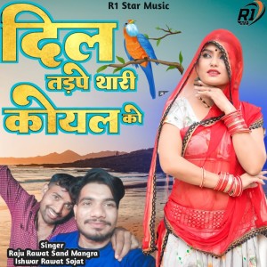Album Dil Tadpe Thari Koyal Ki from Raju Rawat Sand Mangra