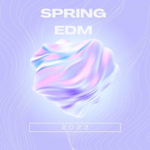 Album Spring EDM 2023 oleh Various Artists