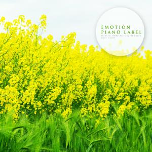 ดาวน์โหลดและฟังเพลง A Relaxing Fragrance พร้อมเนื้อเพลงจาก Sophia Choi