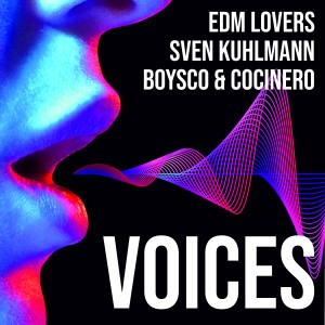 Listen to Voices (Radio-Edit) song with lyrics from EDM Lovers