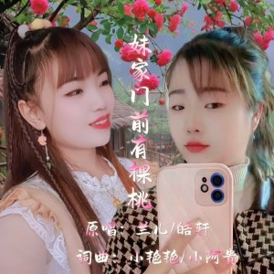 Listen to 妹家门前有棵桃 (伴奏) song with lyrics from 小艳艳