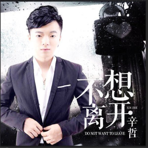 收聽辛哲的不想離開歌詞歌曲