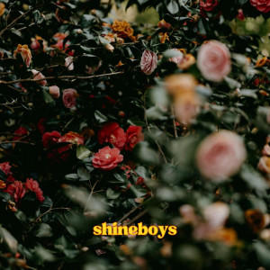 Album Camellia from Shineboys