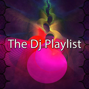 Dengarkan Party All Night lagu dari Ibiza Dance Party dengan lirik