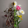 default album img