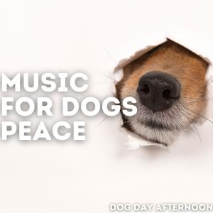 Listen to Bone song with lyrics from Music For Dogs Peace