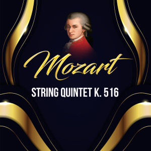 Nobuko Imai的專輯Mozart, String Quintet K. 516