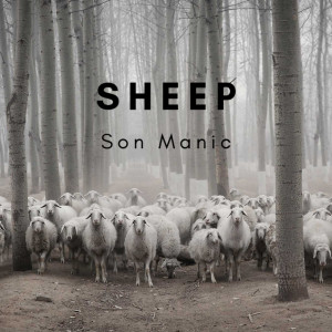 Listen to Sheep (Explicit) song with lyrics from Son Manic