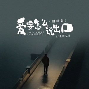 Album 爱要怎么说出口（烟嗓版） from 半吨兄弟
