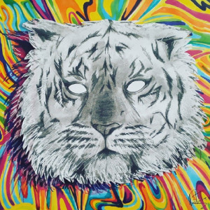 收听TYNEY的Tiger歌词歌曲