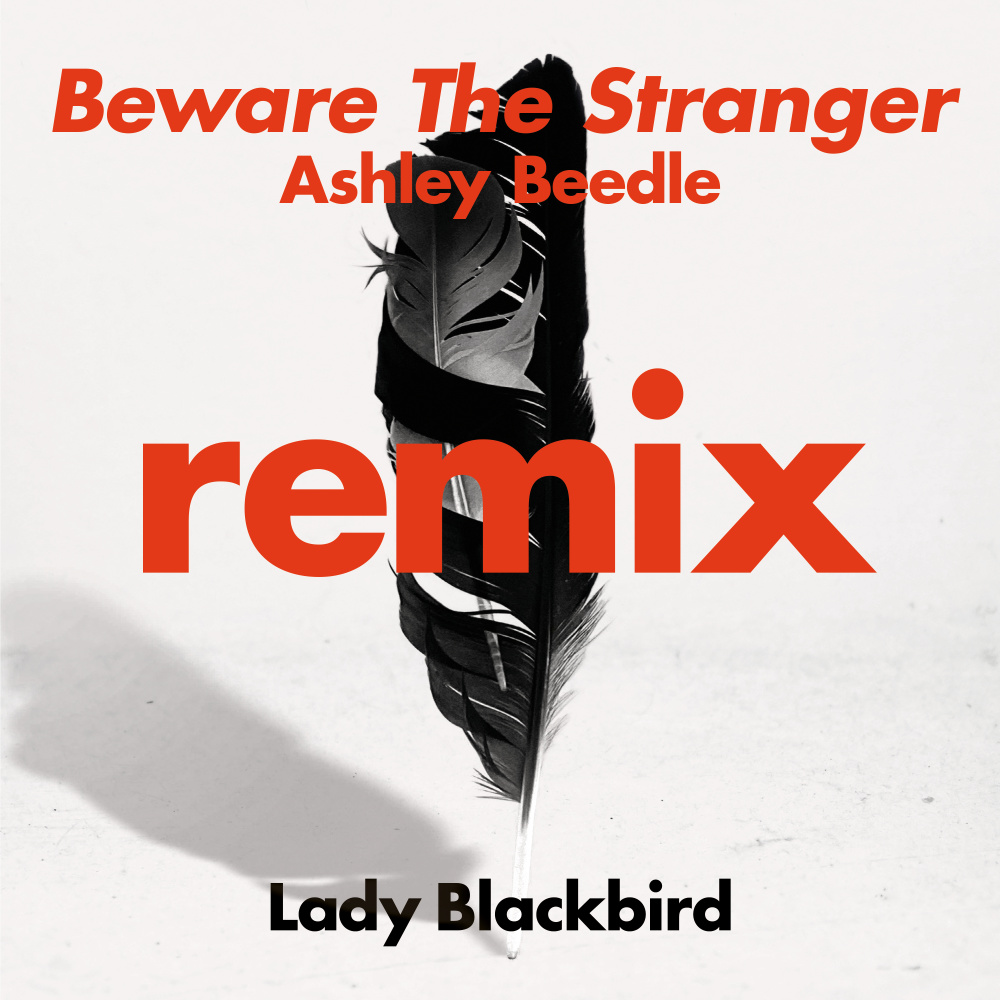 Beware The Stranger  (Ashley Beedle's 'North Street West' Radio Edit)