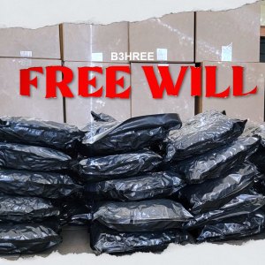 B3hree的專輯Free Will (Explicit)