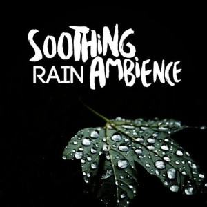 ดาวน์โหลดและฟังเพลง Night Rain พร้อมเนื้อเพลงจาก Rain Sounds Ambience
