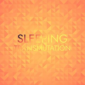 Dengarkan Nem Shame lagu dari Vinh Ento dengan lirik