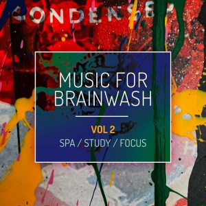 Various Artists的专辑Music For Brainwash, Vol. 2