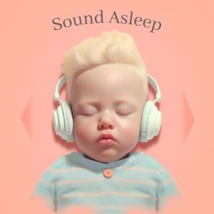 Album Sound Asleep from Baby Sense
