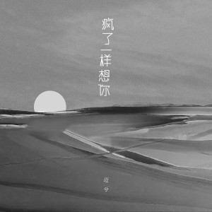 收聽邁兮的瘋了一樣想你 (DJ版)歌詞歌曲