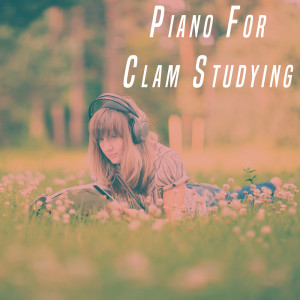 Album Piano For Clam Studying oleh Various Artists