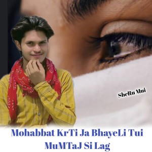 ดาวน์โหลดและฟังเพลง Mohabbat Krti Ja Bhayeli Tui Mumtaj Si Lag พร้อมเนื้อเพลงจาก Sheru Mui