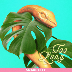 Album Too Long from Snake City