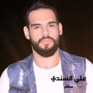 Listen to Salam song with lyrics from Aly El Sendy