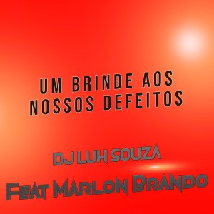 Album Um Brinde aos Nossos Defeitos from Dj Luh Souza