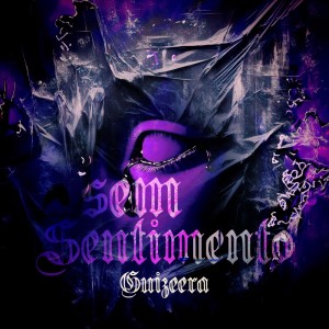 收聽Guizeera的Sem Sentimento (Explicit)歌詞歌曲