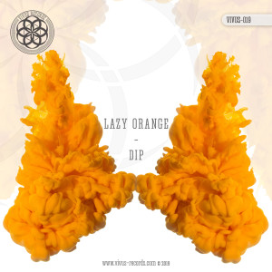 Dengarkan Orange lagu dari Dip dengan lirik