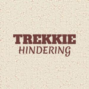 อัลบัม Trekkie Hindering ศิลปิน Various