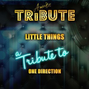 收聽Ameritz Top Tracks的Little Things (A Tribute to One Direction)歌詞歌曲