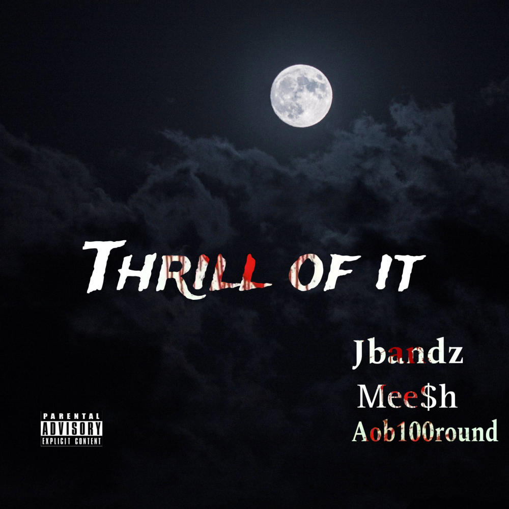 Thrill of it (feat. Mee$h & Aob100round) (Explicit)
