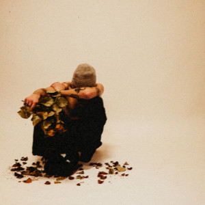Album Malade d' amour (Explicit) from Clayt