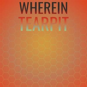 Listen to Roundrobin Tourney song with lyrics from Marret Gook