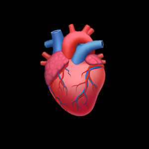 收聽Quatho的Freaky (Explicit)歌詞歌曲