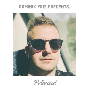 Dominik Friz的專輯Polarized