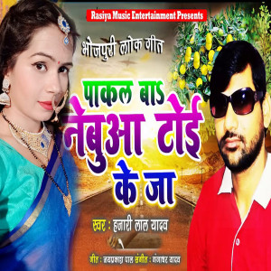 Album Pakal Ba Nabua Toi Ke Raja from Hajari Lal Yadav
