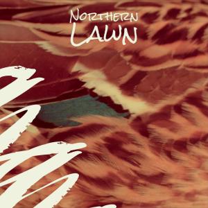 Album Northern Lawn from Various