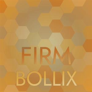 Various的专辑Firm Bollix