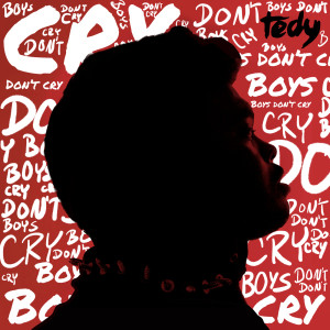 收聽Tedy的Fireworks歌詞歌曲