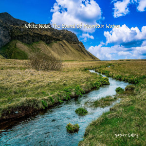 收聽네이쳐콜링的Nature's Sound When You Need Relaxation歌詞歌曲