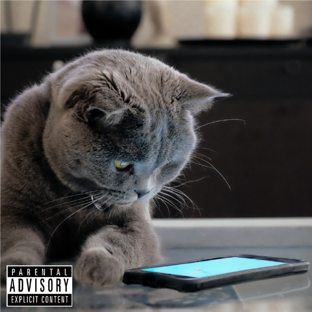 Smartphone (Explicit)