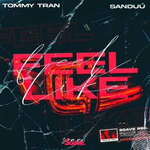 Listen to Feel Like (Explicit) song with lyrics from Tommy Tran