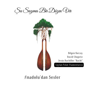 Taylan Polat的專輯Şu Sazıma Bir Düzen Ver