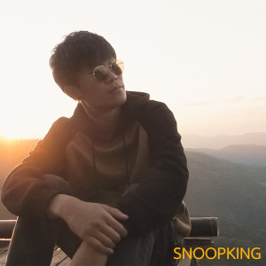 Dengarkan lagu ถ้าเธอเข้าใจในฝัน (Acoustic) nyanyian Snoopking dengan lirik