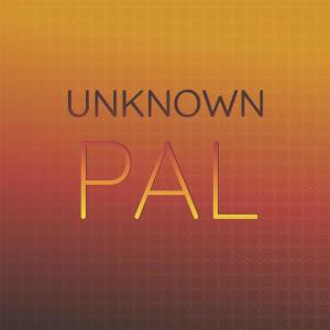 Listen to Unknown Pal song with lyrics from Elsan Feli