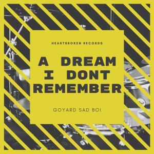 ดาวน์โหลดและฟังเพลง a dream i dont remember (Explicit) พร้อมเนื้อเพลงจาก goyard sad boi