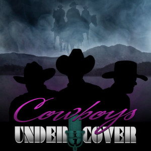 收聽Cowboys Undercover的We Are Never Ever Getting Back Together歌詞歌曲